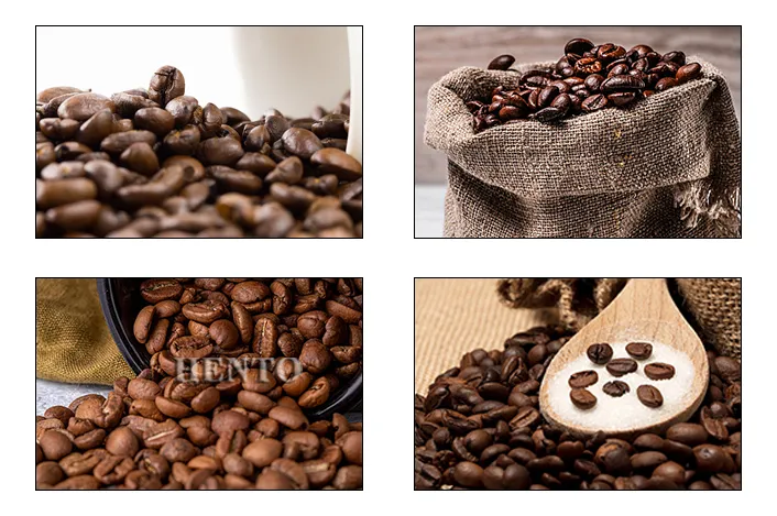 Coffee Roasters Coffee Roasters