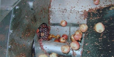Pomegranate Seed Splitting Machine Pomegranate Seed Splitting Machine